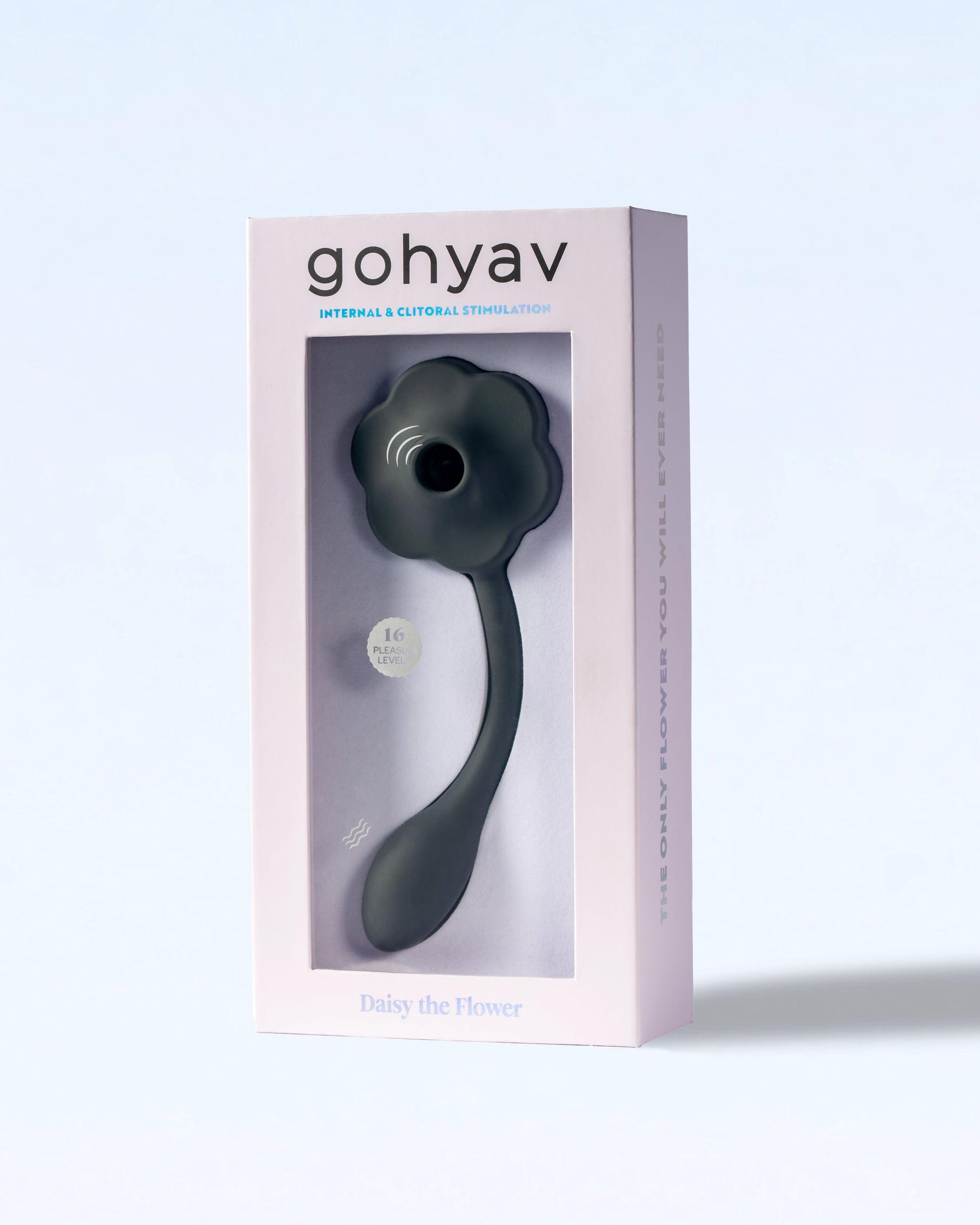 Daisy the Flower - Volcanic Ash